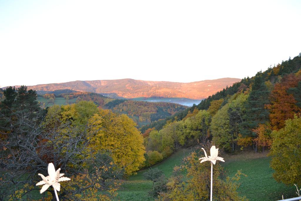Les Fermes De Pinpin Labaroche Quarto foto